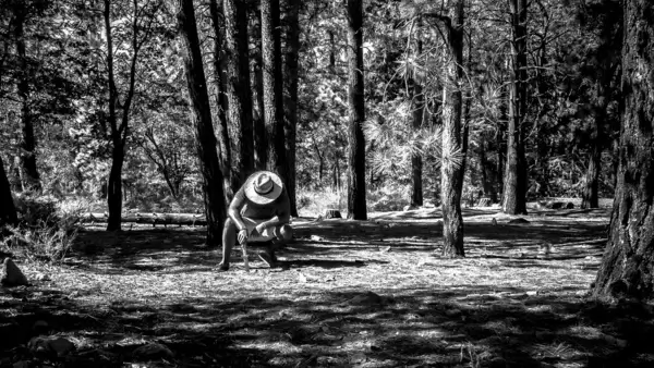 in the woods