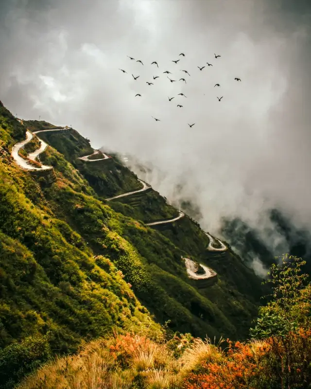 india scenery picture elegant dynamic birds mountain scene 