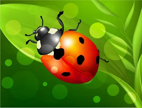 insect background ladybug icon multicolored decoration