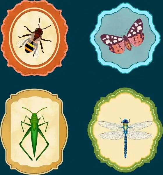 insect icons collection bee butterfly grasshoper dragonfly icons