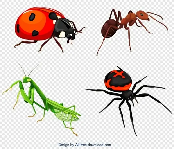 insects icons ladybug ant spider grasshopper sketch
