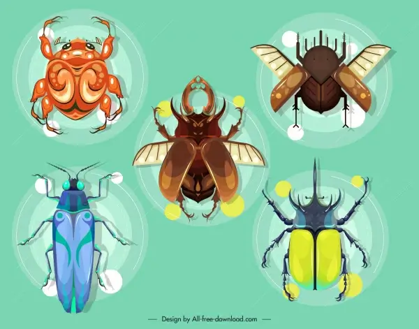 insects species icons colored modern design