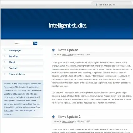 Intelligent Studios Template