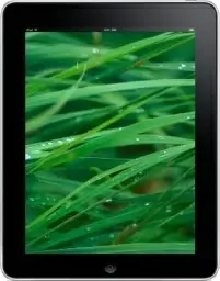 iPad Front Grass Background