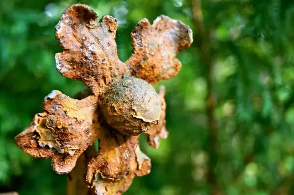 iron stainless flower