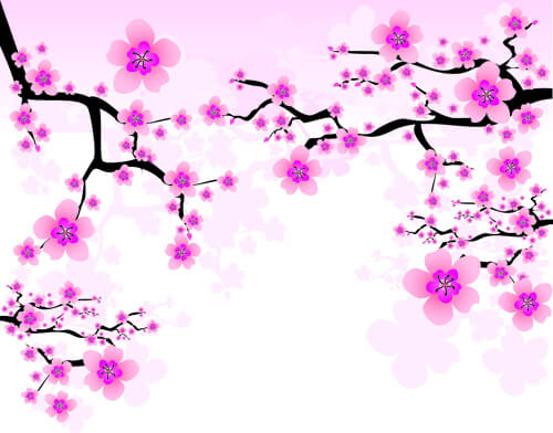 japan cherry blossoms free vector