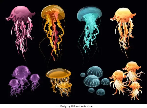 jellyfish icons colorful modern design