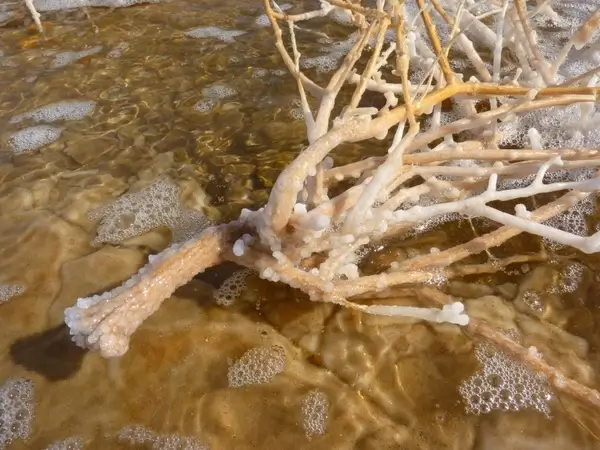 jordan holiday travel