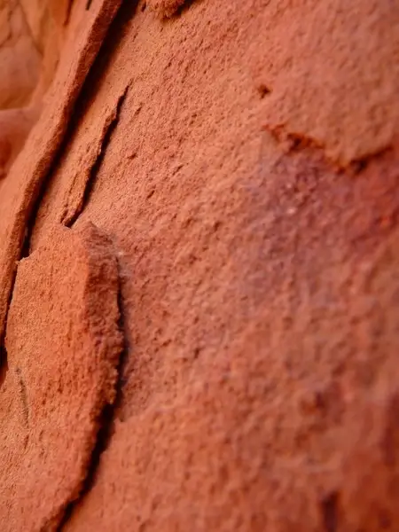 jordan holiday travel