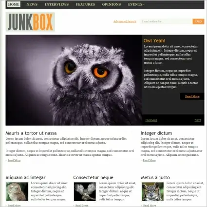 JUNKBOX Template
