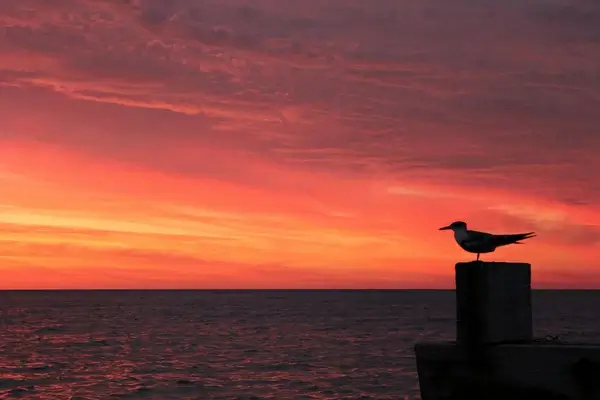 jurien bay sunset
