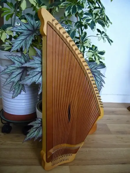 kantele musician stringed instrument