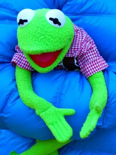 kermit frog doll