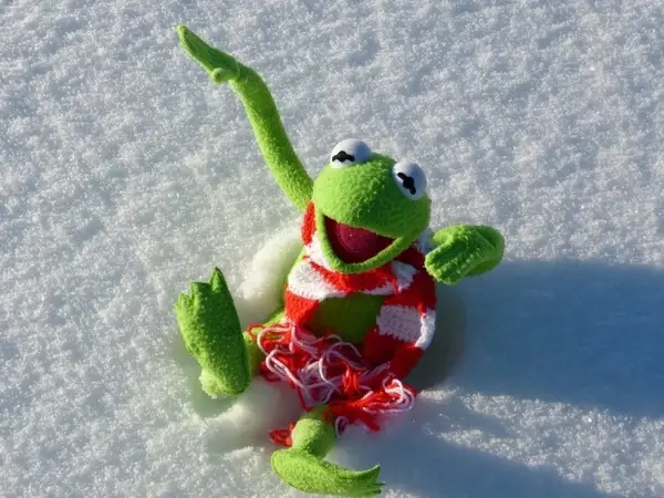 kermit frog fun