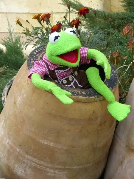 kermit frog green