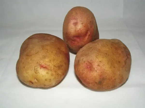 king edward potatoes