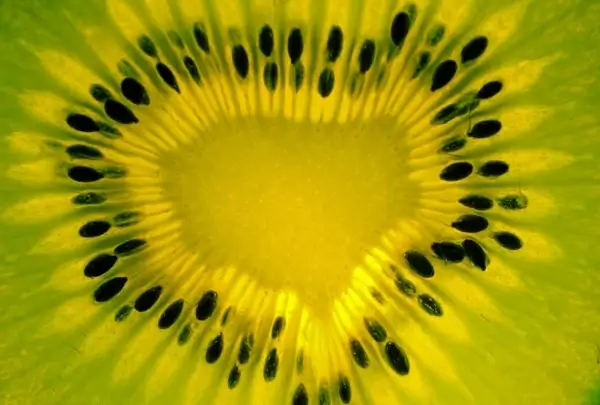 kiwi background