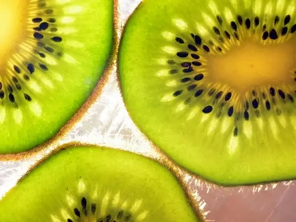 kiwi fruit fresh