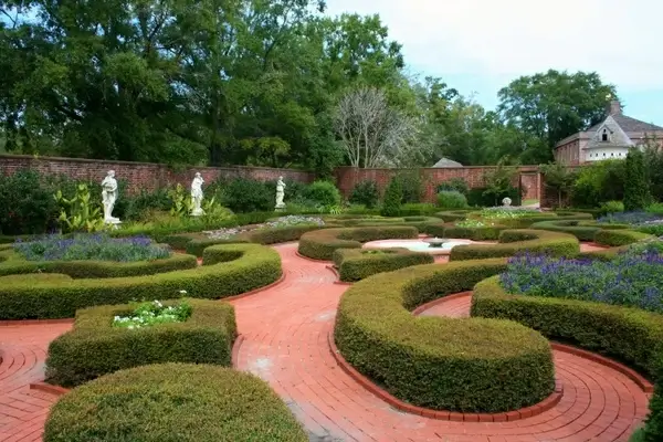 knot garden formal garden flowers