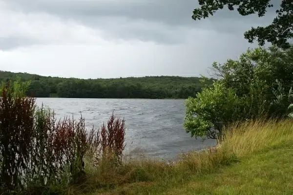 lake shore