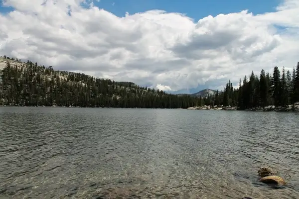 lake with trees on mountains