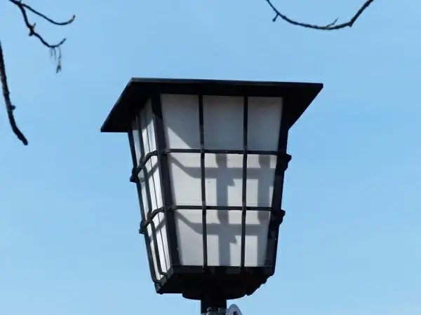lamp lighting lantern