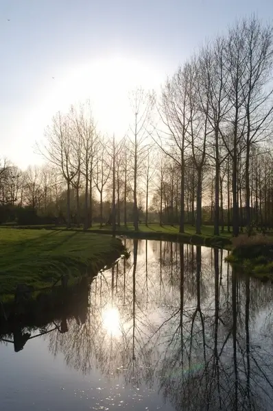 landscape river reflections