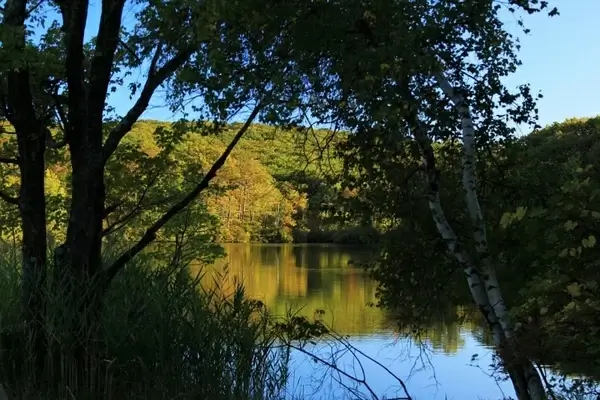 late afternoon