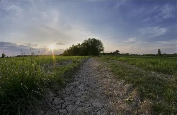 late sun