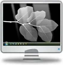 LCD Monitor
