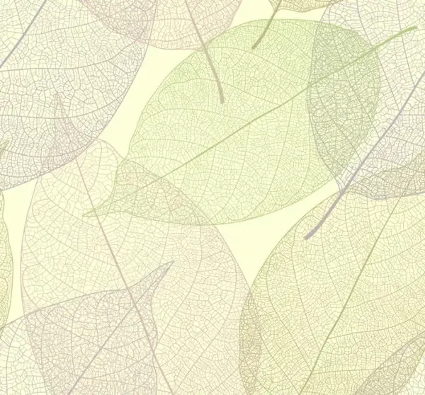 leaf background transparent design flat colored sketch