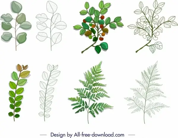 leaf branch icons colored modern sketch