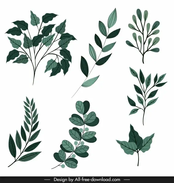 leaf icon classic green shapes sketch
