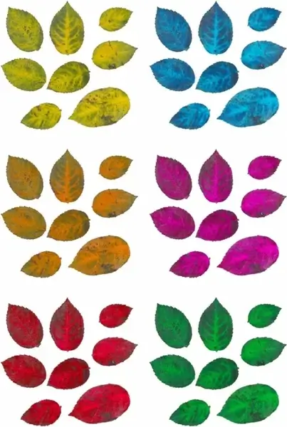 leaves collage sheet