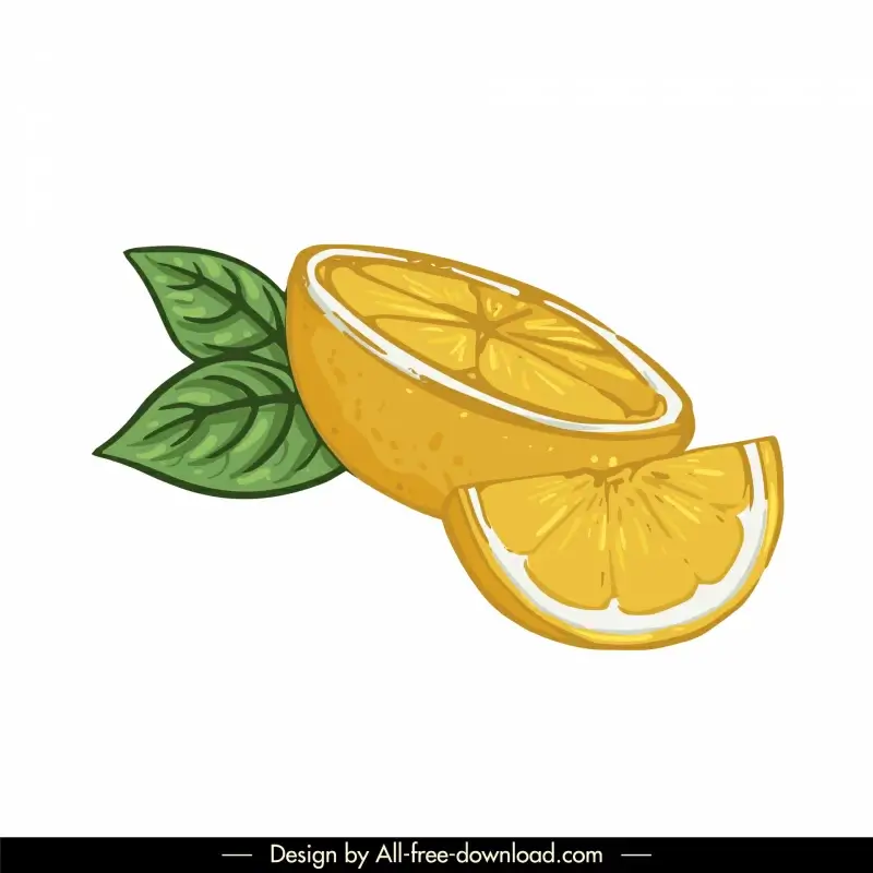 lemon icon classical handdrawn slices sketch