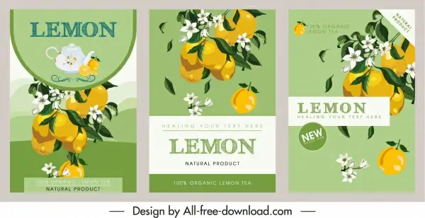 lemon products flyer templates colorful classic elegance