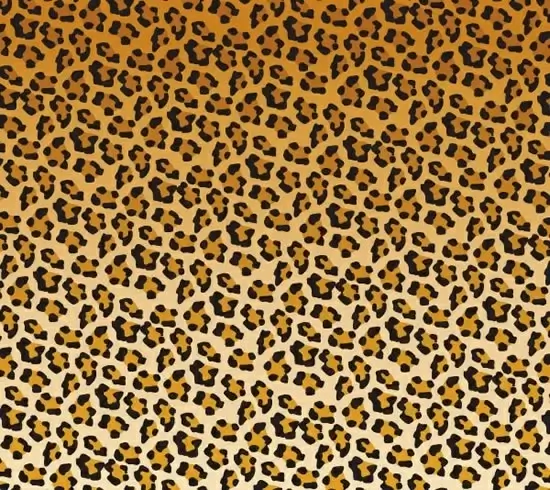 leopard leather pattern colored flat sketch