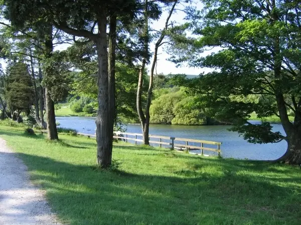 lets walk