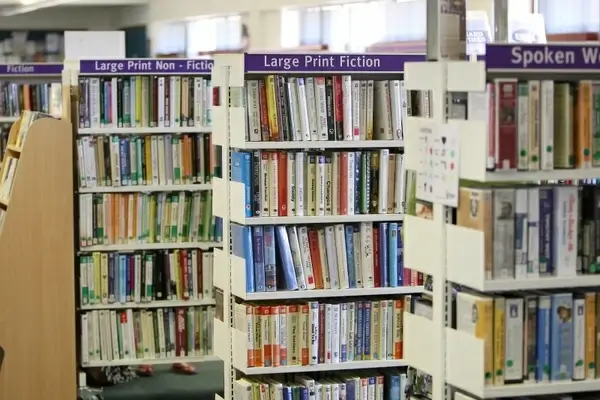 library bookcase books