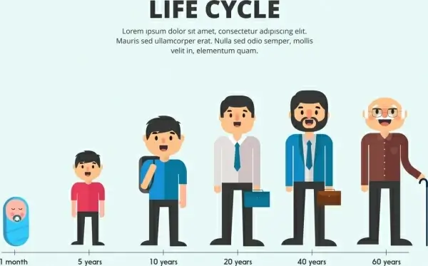 life cycle banner men icon growing sequence design