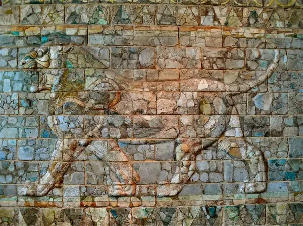 lion