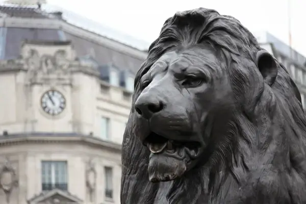 lion on the trafalgar square