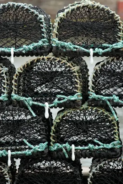 lobster traps
