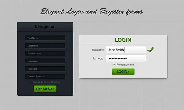 Login & Register Form