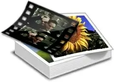 Longhorn albums Icon