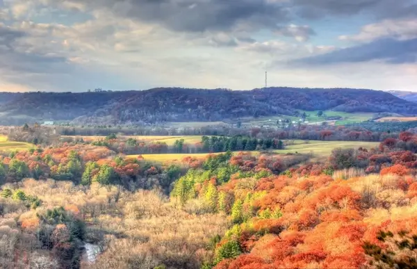 looking at the forest valley at wildcat mountain state park wisconsin