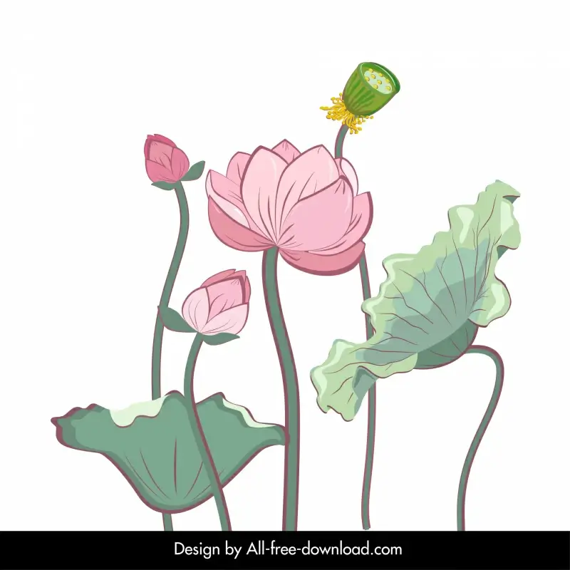 lotus flower backdrop elegant classical handdrawn design