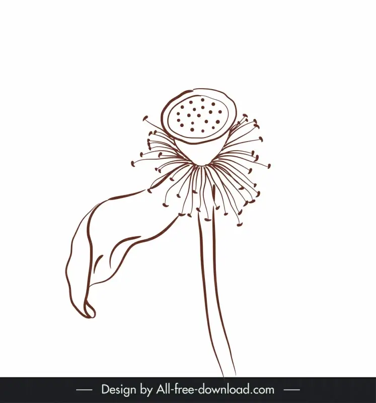 lotus flower icon vintage handdrawn sketch