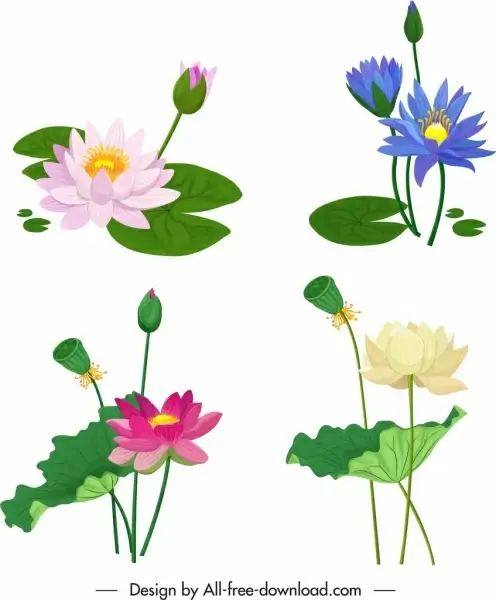 lotus flower icons colorful classical design