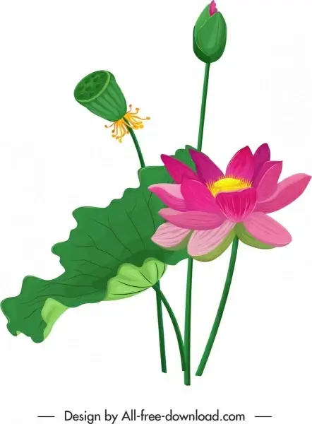 lotus painting floral leaf bud icons colorful classic
